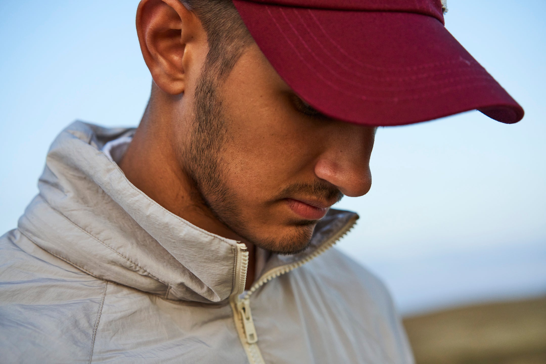 A horse without a rider