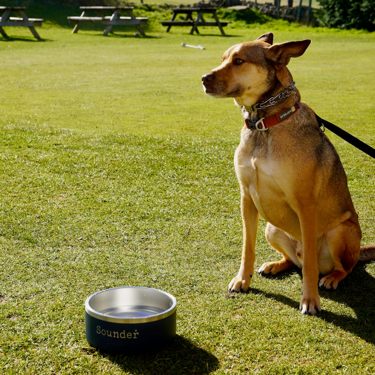Sounder Golf | Sounder Golf | Accessories for Dogs | Sounder x Yeti Dog Bowl | Dog Bowl