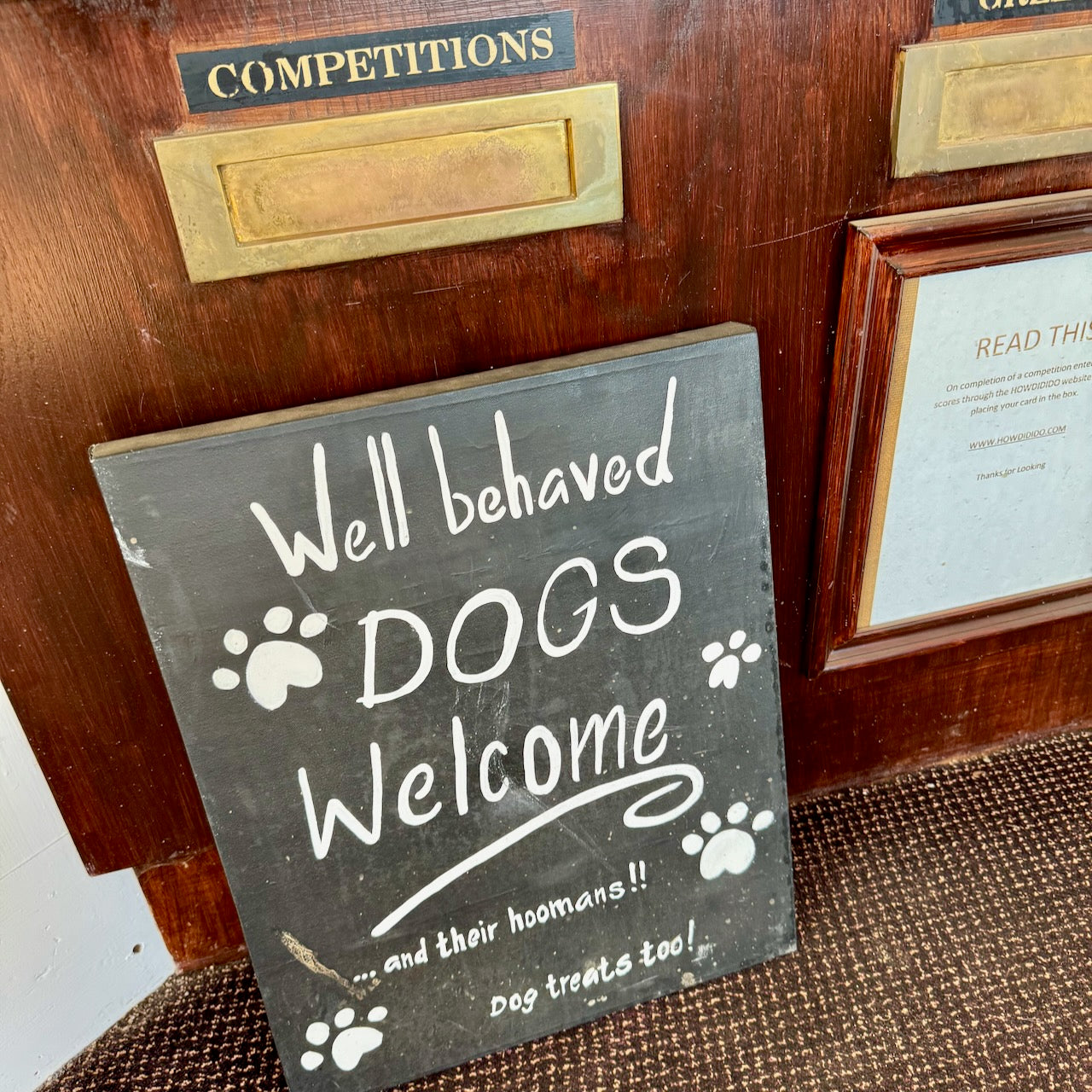 Sounder Golf | Sounder Golf | Accessories for Dogs | Sounder x Yeti Dog Bowl | Dog Bowl