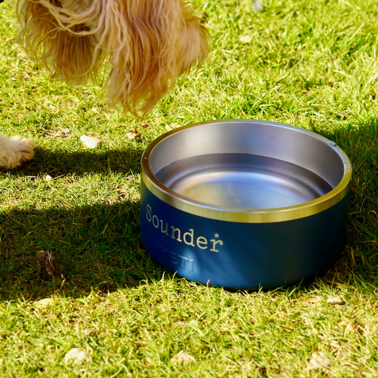 Sounder Golf | Sounder Golf | Accessories for Dogs | Sounder x Yeti Dog Bowl | Dog Bowl